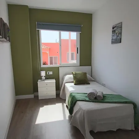 Apartament David House *